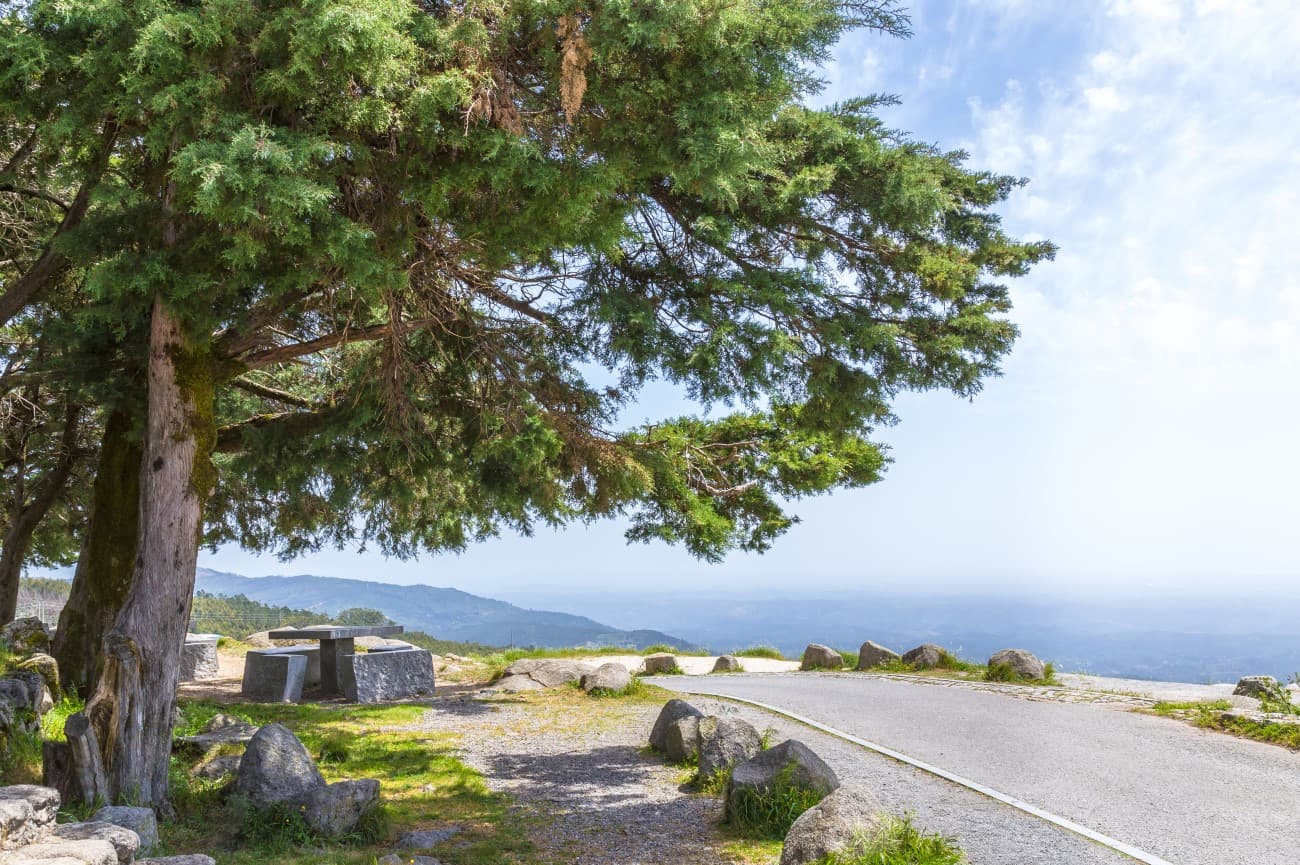 Serra de Monchique
