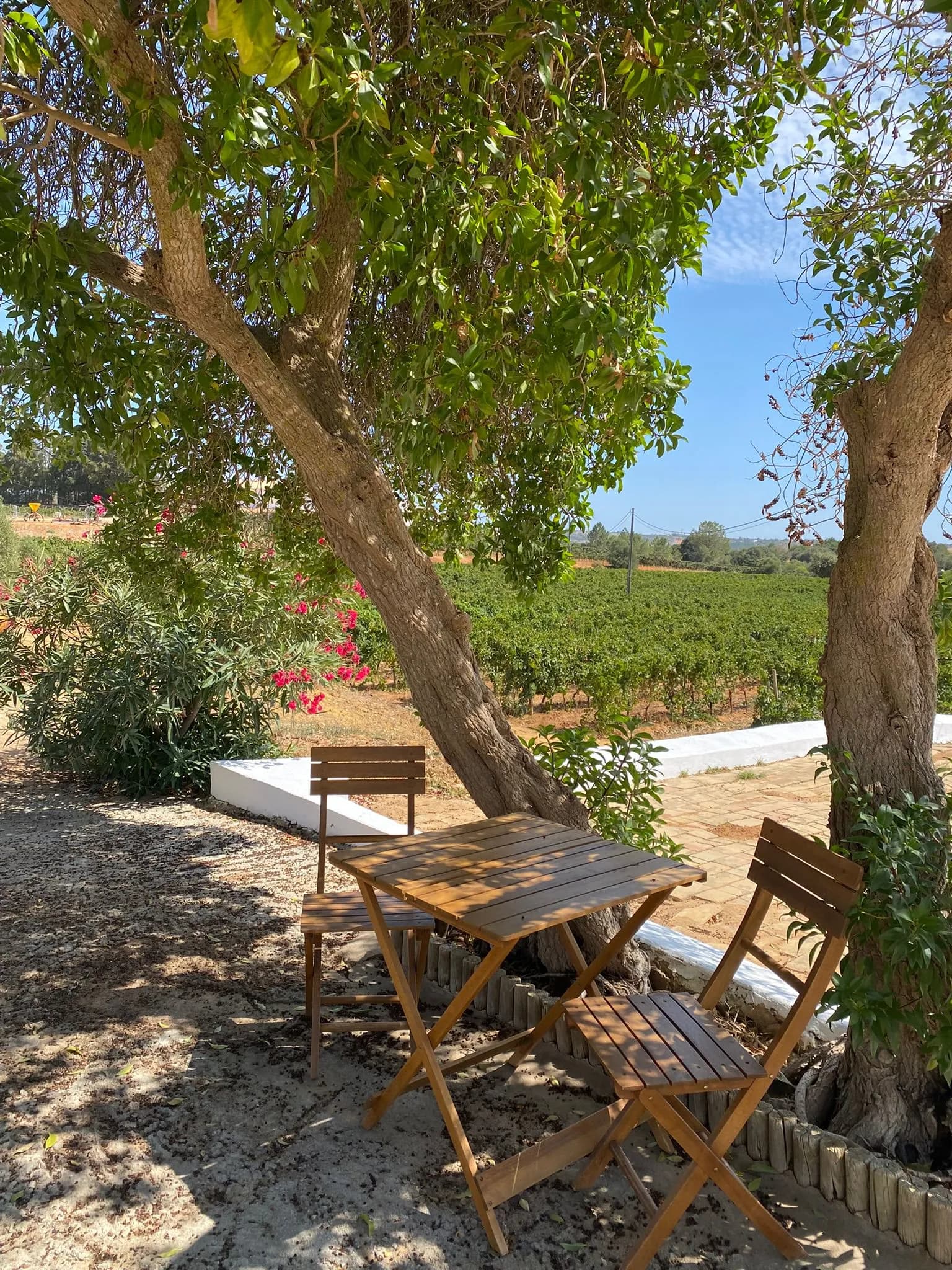 Deep Algarve — Manifesto