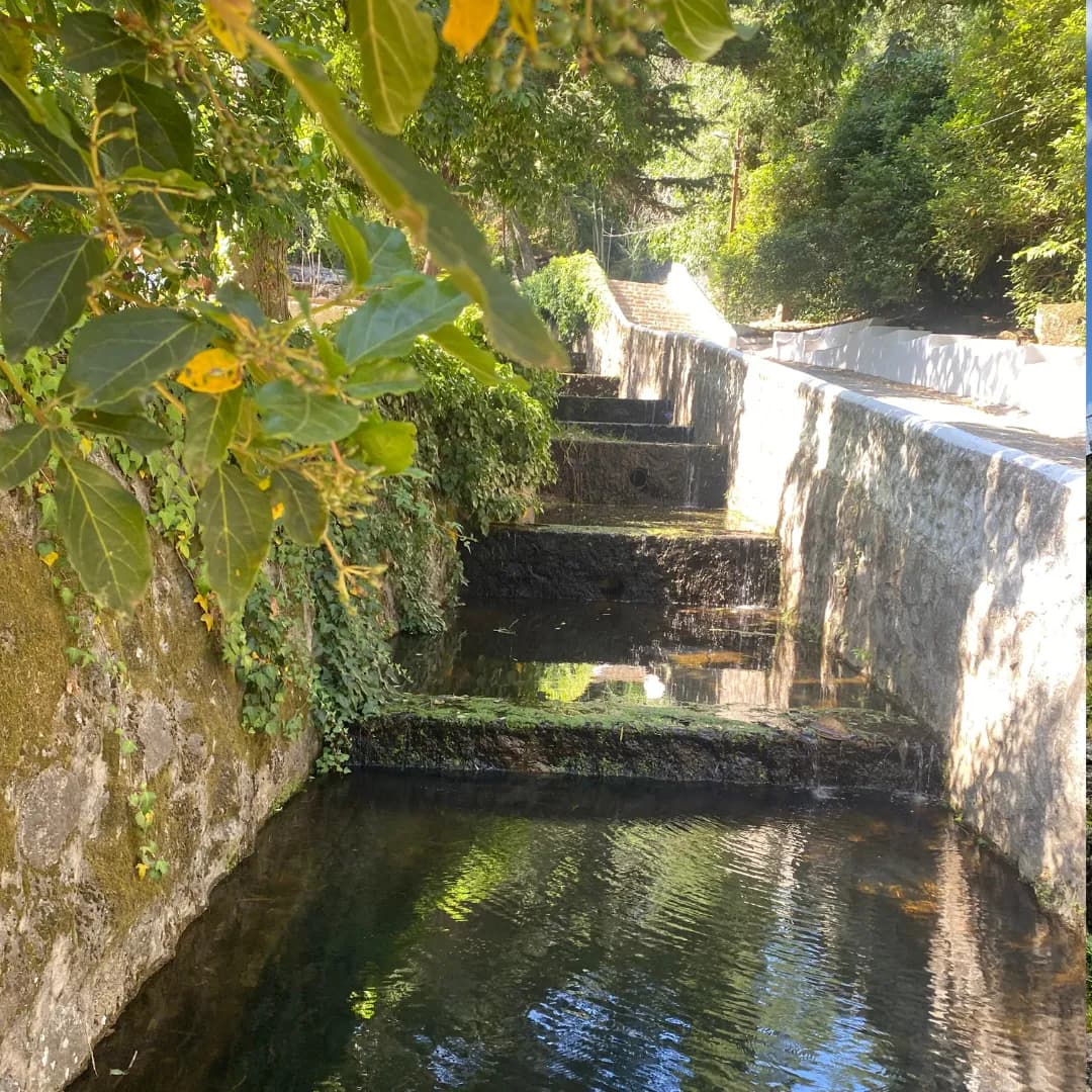 Expedición Privada a Monchique: Manantiales, Cumbres y Puente Colgante 4