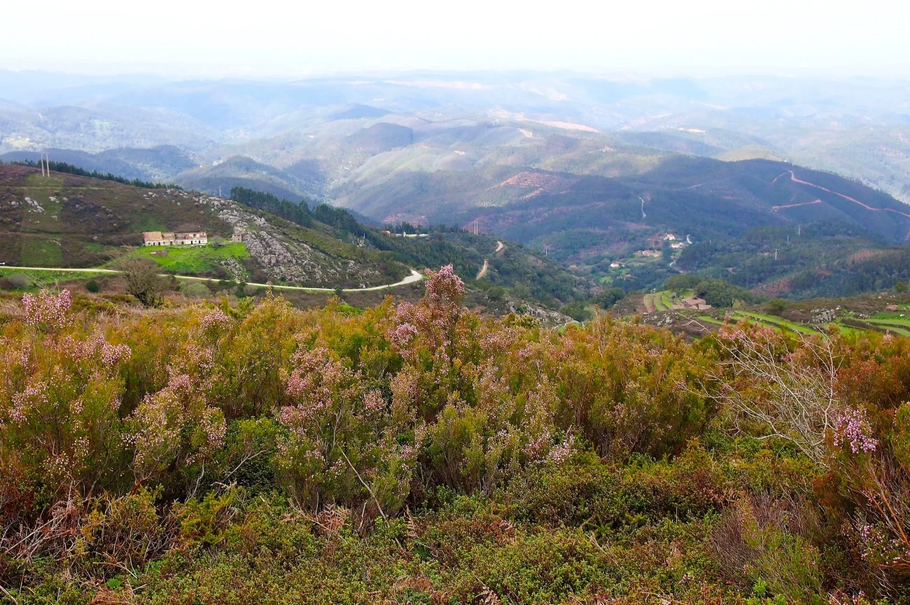 Monchique Mountains